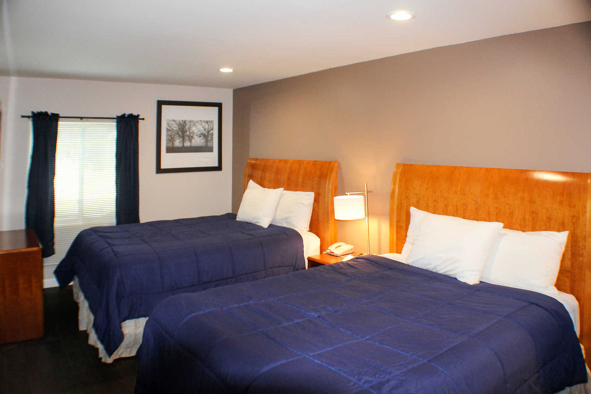 Quality Inn & Suites Lincoln Habitación foto